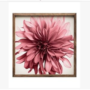 Meet your Posher, Kerri